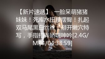 【初音美玲】，重金邀请知名女优，粉丝圆梦之夜，22岁极品美女，搔首弄姿配合听话