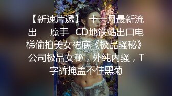  黑丝大奶伪娘 喂小奶狗吃仙棒 爆菊花 插的小奶狗哼哈不停