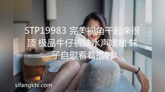 以身还债俏人妻-齐藤丽 VIP0600