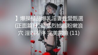 暈崽 NO.022 小琵琶精 [100P+1V/721M]