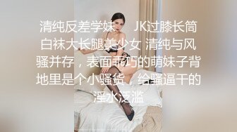 ✅安防精品✅美女与野兽女仆丝袜诱惑干了很多次✅4V[某房原版] (3)