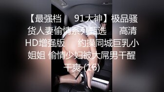 小钢炮完美视角