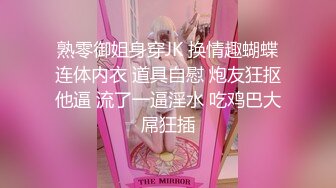 太完美了 满足幻想 AI绘画 正经的女教师们 图集