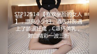 骚老婆（互换视频）