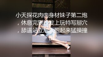 大像传媒之老闆娘的背德巨乳-啤兒