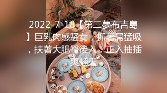 我的女仆哪有这么骚 二次元老婆穿越现实帮我吹-黎娜