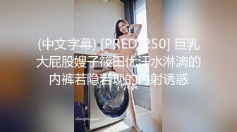 (中文字幕) [PRED-250] 巨乳大屁股嫂子筱田优汗水淋漓的内裤若隐若现的内射诱惑