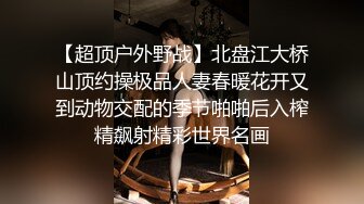 国产AV 大象传媒 直击毒枭淫乱派对 张雅婷