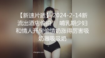 夜太美丶赵总找外围大长腿少妇，穿上黑丝撕裆调情，舔逼69口交大屁股骑乘，镜头前扶着腰后入猛操