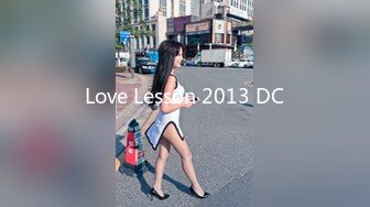 Love Lesson 2013 DC