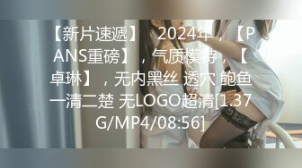 【新片速遞】   2024年，【PANS重磅】，气质模特，【卓琳】，无内黑丝 透穴 鲍鱼一清二楚 无LOGO超清[1.37G/MP4/08:56]