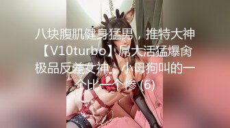 八块腹肌健身猛男，推特大神【V10turbo】屌大活猛爆肏极品反差女神，小母狗叫的一个比一个惨 (6)