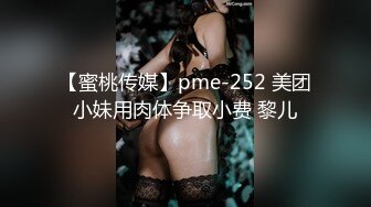 四驱兄弟-D杯旗袍翻版李小璐