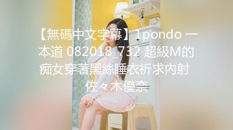 国产麻豆AV MD MD0063 女優面試員 袁庭妮