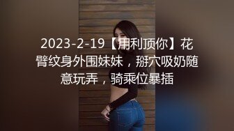 我是女骑士