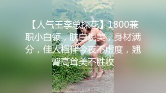 趁老婆出差我请了个女仆来做清洁