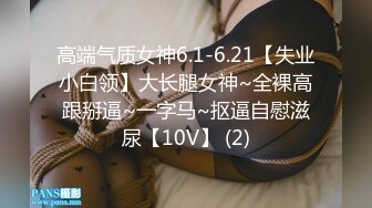 P站20万粉华裔网黄「北京瑶瑶」「Lonelymeow」OF旅游性爱日记 3P百合爆菊潮吹露出【第五弹】 (3)