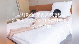 红斯灯影像-豪乳女贼抢劫巨乳富家女穷人女的逆袭打劫变打炮-孟若羽