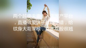 AI换脸视频】陈数 老爸与秘书再婚，儿子却强奸继母