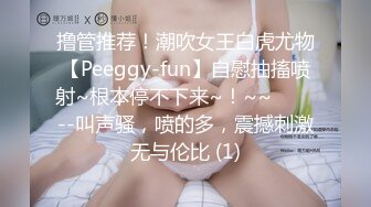 后入骚货小母狗