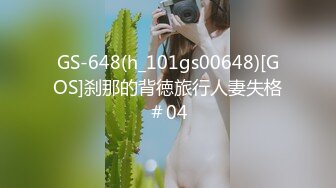 GS-648(h_101gs00648)[GOS]刹那的背徳旅行人妻失格＃04