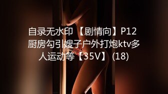 自录无水印 【剧情向】P12 厨房勾引嫂子户外打炮ktv多人运动等【35V】 (18)