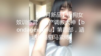 【午夜探花66】新晋老哥寻欢，女仆装短发少妇，穿上黑丝聊聊人生，吸吮大屌扶屁股后入，操的妹子喊疼