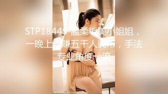 STP18449 温柔貌美小姐姐，一晚上净赚五千人民币，手法专业角度一流