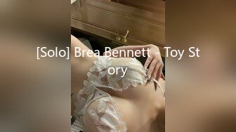 [Solo] Brea Bennett - Toy Story