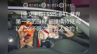    [中文字幕] SSIS-841 業界第一名的身材 細腰模特兒 可以打炮不限次數 愛人合約！ 山手梨愛